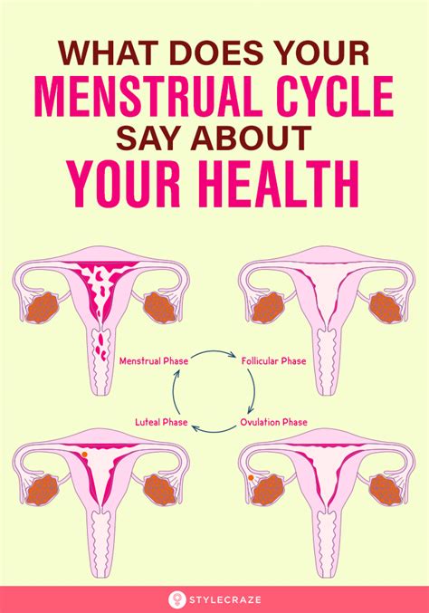 What Does Your Menstrual Cycle Say About Your Health Women Health