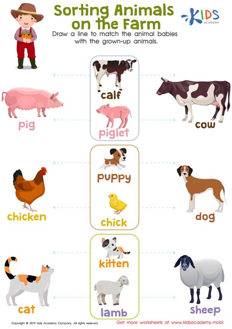 Sorting Animals On The Farm Worksheet Free Printout For Kids Answers