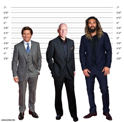 Bruce Willis Height ~ How Tall Is He Really Brie