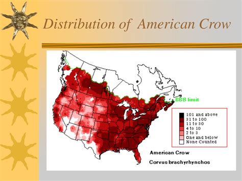 Now open that file into google drive slides and edit at your convenience. PPT - Crows of the Mojave Desert PowerPoint Presentation, free download - ID:1214787
