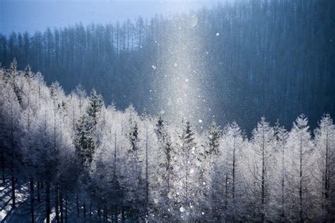 1 Diamond Dust Hokkaido Scenery Photos Winter Scenery Japanese