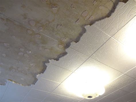 How to texture a ceiling. A Quick-Guide to Removing Polystyrene Ceiling Tiles ...