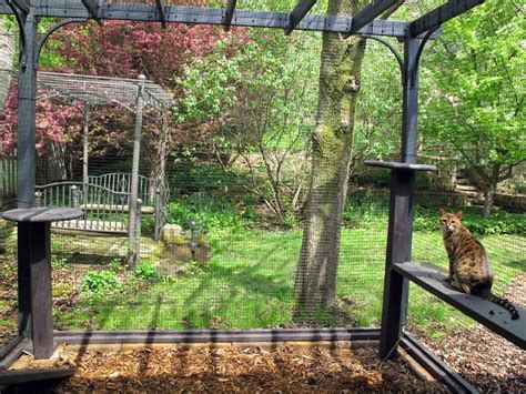 This easy to install garden enclosure kit goes up quickly and easily with no additional special tools required. We Built A Beautiful Garden Catio For Our Formerly-Blind ...