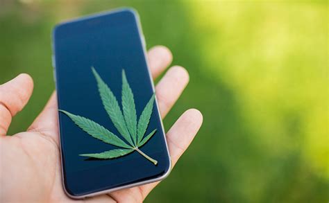 We did not find results for: What To Know About Arizona's New Digital Medical Marijuana Cards - All Greens Clinic