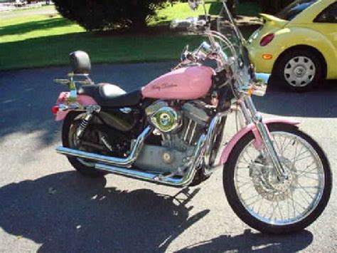 5500 Harley Davidson Sportster 1200 Custom Pink For Sale In