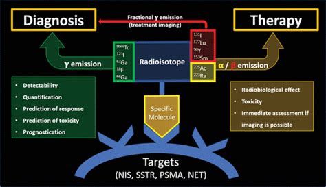 Theranostics In Nuclear Medicine Emerging And Re Emerging Integrated