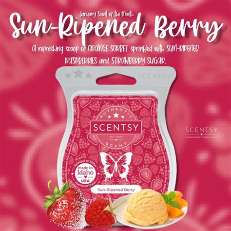 Sun Ripened Berry In 2022 Scent Warmers Scentsy Wax Bars Scent