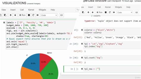 The Complete Python Data Analysis And Visualization Course