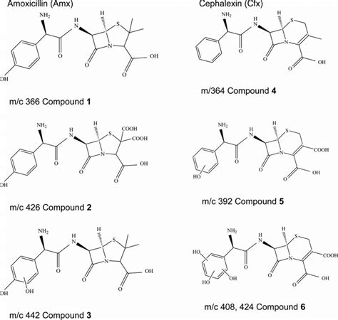 Scheme 3 Chemical Structures Of Antibiotics Amoxicillin Amx And