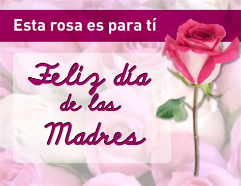 Esta Rosa Es Para Tí Feliz Día De Las Madres Imagen 5475 Imágenes Cool