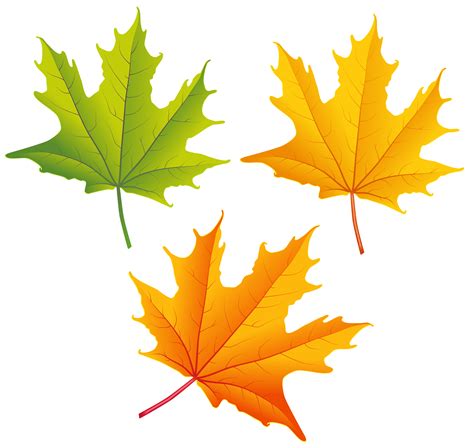 Autumn Leaves Clip Art Clip Art Library
