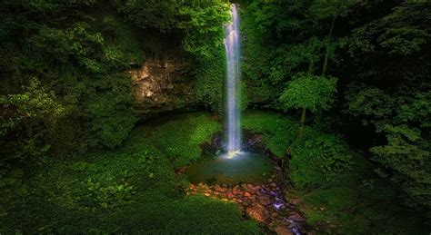 Australia Waterfall Forest Green Trees Nature