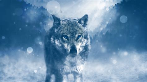 Download, share or upload your own one! Blue Wolf Eyes Wallpapers HD - Wallpaper Cave