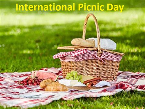 International Picnic Day 2021 Daneelyunus