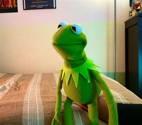 Kermit The Frog Puppet Replica Hand Made Etsy Canada