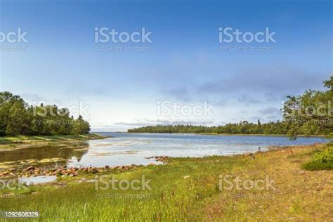 Shore Of The White Sea Russia Stock Photo Download Image Now