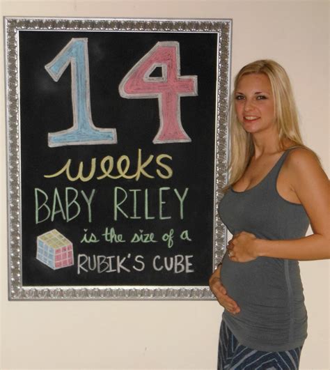 Pregnancy 14 Weeks