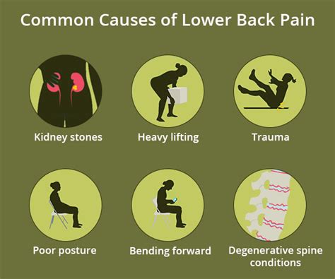 Decoding Lower Back Pain What Are The Causes And Common Reasons For