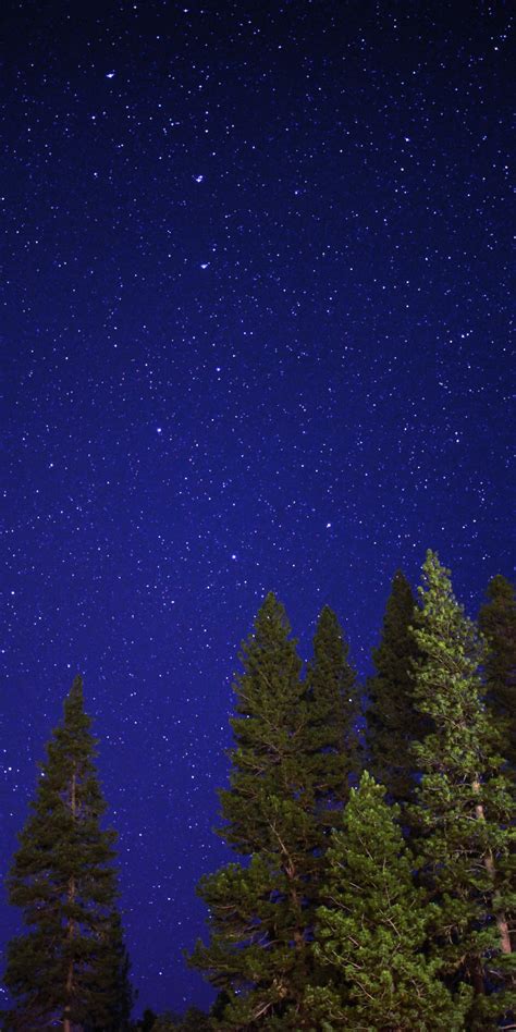 Earth Night Starry Sky Stars Sky 1080x2160 Phone Hd Wallpaper
