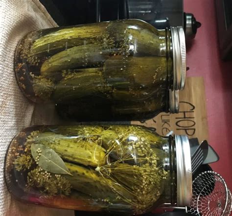 Traditional Dill Pickle Canning Recipe Simple And Delicious