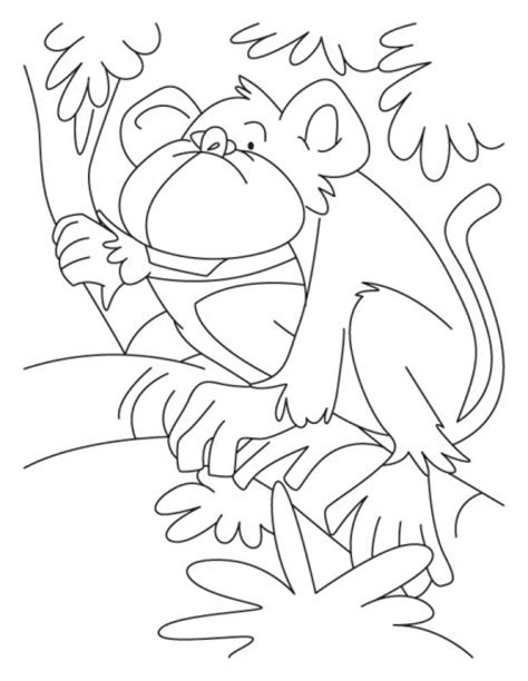 Coloring Pages Snow Monkeys