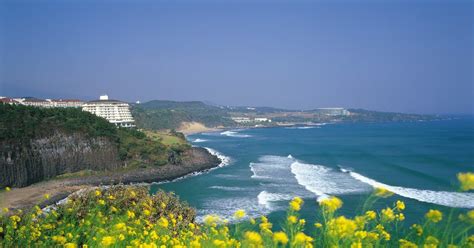 Check policy details for more. Korea Attractions - Amazing Jeju Island | World Tourist Attractions | Manythingstodoin.com