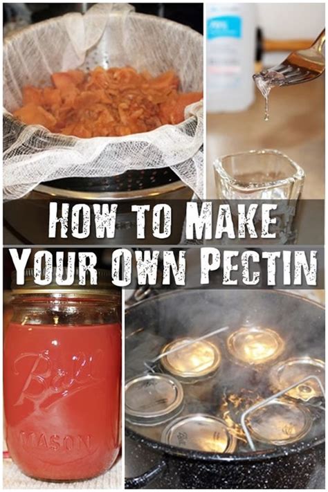 Diy recipe cards you can print or share online. Homemade Pectin Recipe