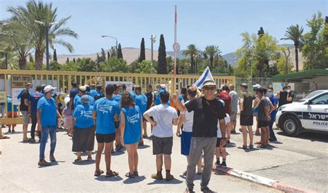 תעלות מנדטוריות שהובילו את מי האסי דרך העיר כלל לא פעלו בימי בית שאן היהודית. נחל האסי: "כלאו אותם בקיבוץ תוך כדי שלוביסטים מצלמ | מעריב