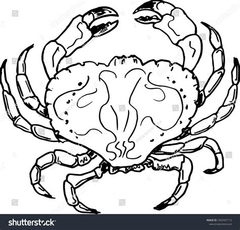 Hand Drawing Crab Vector Illustration Outline Stock Vector Royalty