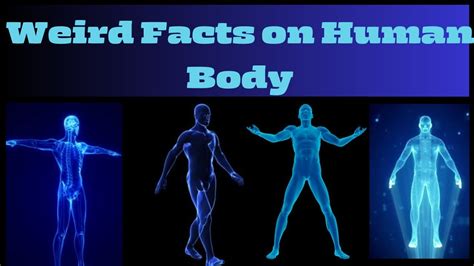 Interesting Facts About Human Body Weird Facts About The Human Body
