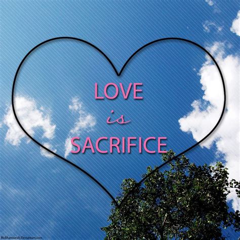 Love Is Sacrifice Sacrifice Love Sacrifice Love
