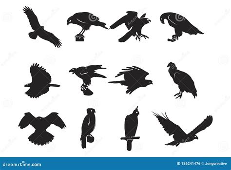 Predator Wild Bird Silhouette Design Element Hawk Eagle Falcon Stock