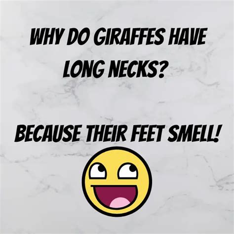 70 giraffes jokes puns and one liners to crack you up 😀
