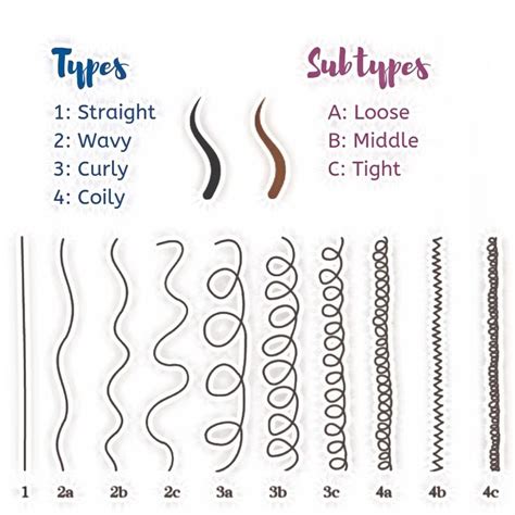 Natural Hair Chart Hair Type Chart Hair Chart Hair Patterns