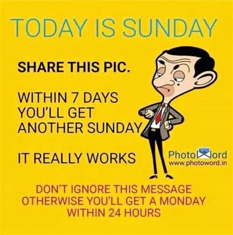 Happy Sunday Funny Quotes Sarcasm Silly Memes Good