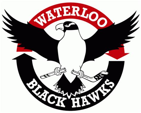 Waterloo Black Hawks Primary Logo United States Hockey League Ushl