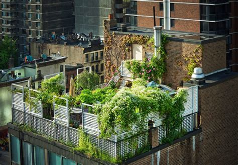 25 Amazing Buildings With Green Roof Designs Pictures