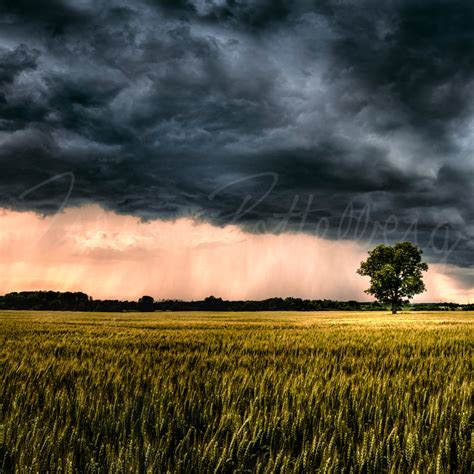 Ominous In Nature Photography Art Trevor Pottelberg Photography