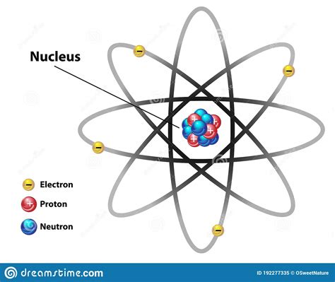 Atomic Nucleus Structures Diagram Labeled Stock Vector Illustration