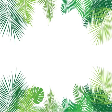 Download High Quality Nature Clipart Tropical Transparent Png Images