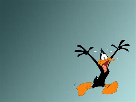 Daffy Duck Warner Brothers Animation Wallpaper 71670 Fanpop