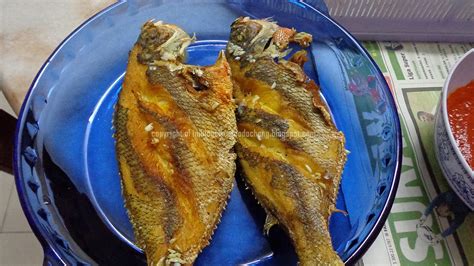 Masukkan ayam goreng tadi bersama capsicum, bawang besar, garam dan gula secukup rasa. Resepi Ayam Masak Sweet Sour - Jerkovon