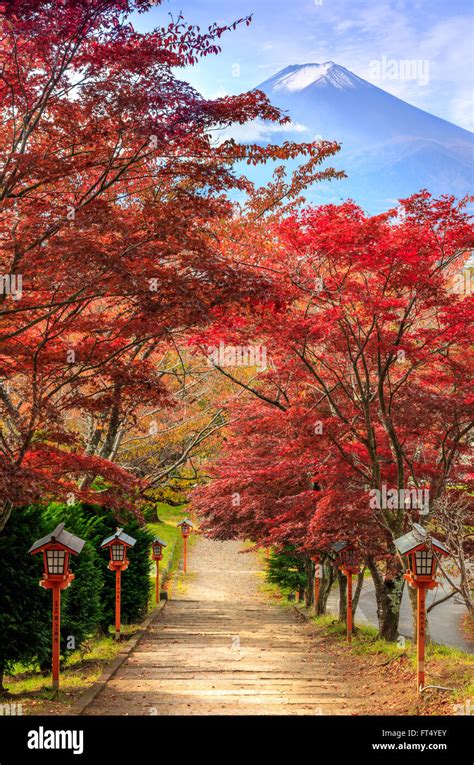 Path To Mt Fuji In Autumn Fujiyoshida Japan Stock Photo Alamy