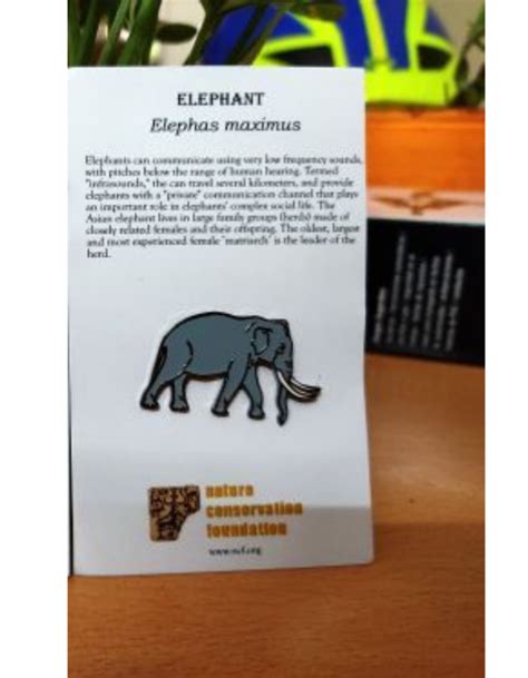 Wildlife Themed Lapel Pin Elephant By Nature Conservation Foundation Wildlifekart Is An
