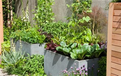 How To Make Kitchen Garden In Pots Container Kitchen Garden