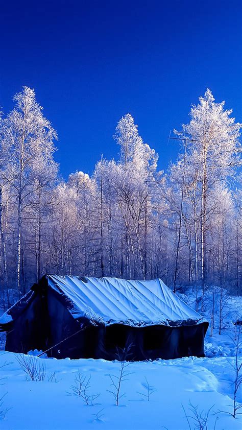 Snow Forest Tent Winter Nature Android Wallpaper Free Download