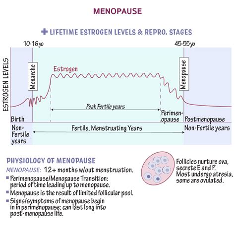 Physiology Glossary Menopause Ditki Medical And Biological Sciences