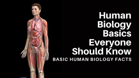 The Human Body Has 12 Systems Basic Human Biology Facts Youtube