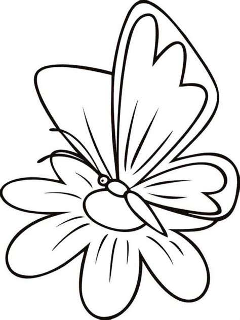 Imagini pentru fise cu insecte de colorat fluturi carte de. Desene cu Fluturi de colorat, planșe și imagini de colorat cu fluturi