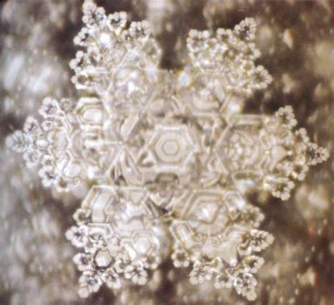 Water 3 Water Crystal Love With Images Masaru Emoto Crystals